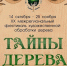 Саровские умельцы - Саров.РФ