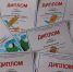 Саровчане заняли командное первое место на соревнованиях «Лети, модель!» - Саров24