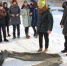 На рубеже - Городской курьер