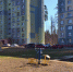 Две школьницы получили травмы на уличном тренажере - Саров24