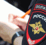 Матерщинницу приговорили к 6 месяцам исправительных работ за оскорбление полицейского - Саров24