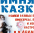 Куда сходить в выходные? - Саров24