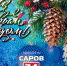 Дорогие друзья! - Саров24