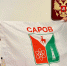 Марьяна Кузина отвезет на Северный полюс флаг с гербом Сарова - Саров24