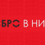 Саровчане вошли в областной актив волонтерских объединений - Саров24