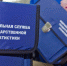 Саровский отдел Нижегородстата продолжает формирование команды переписчиков - Саров24