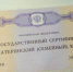 Госдума расширила действие программы материнского капитала - Саров24