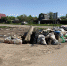 свалка володина (1) - Городской курьер