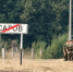 i - Sarov.Ru