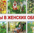 Ягоды7 (1) - ЦГБ им. В. Маяковского