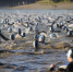 X-WATERS Volga 2022 - ZatoSarov.Ru