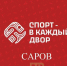 Спорт в каждый двор - ZatoSarov.Ru