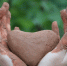 56702778.kfiw2xrv0e - Sarov.Ru