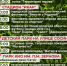 Саров отметит День России на 5 городских площадках - Саров24