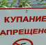 В Сарове прошли рейды по запрещенным для купания местам - NGSarov.Ru