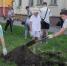 На улице Вити Коробкова появилась яблоневая аллея - NGSarov.Ru