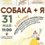 Праздник «Собака + я» пройдет в Сарове - Саров24