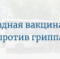 Выездная вакцинация против гриппа пройдёт 8 и 10 сентября - Саров24