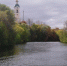 В первую неделю сентября зарегистрировано 23 укусов клещей - NGSarov.Ru