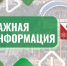 В связи с началом периода гона у лосей водителям нужно быть осторожнее - Администрация г. Саров