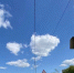 В Нижегородской области начали по камерам штрафовать за непристёгнутый ремень у пассажиров - Саров24