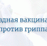 Саровчане смогут сделать прививку от гриппа в ЦКиД ВНИИЭФ - Саров24